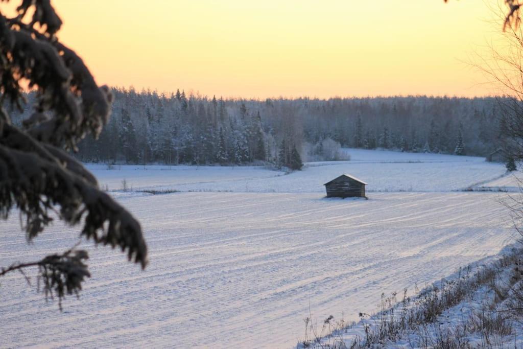 Albertiina Kurikka Esterno foto